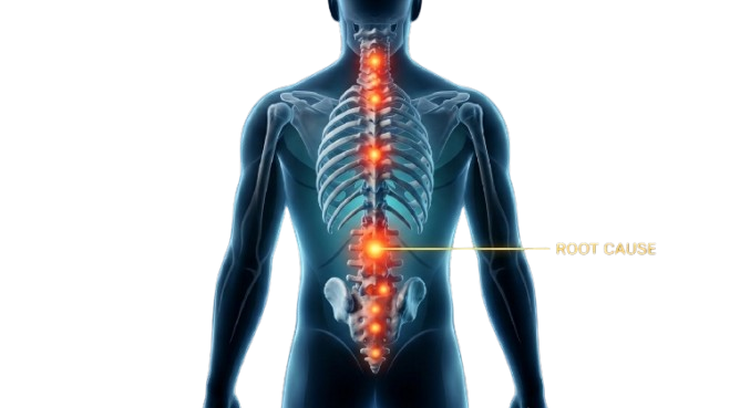 Skeleton Outline