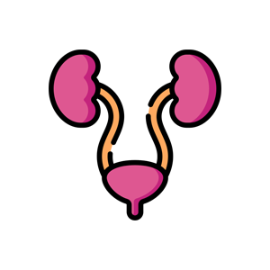Urologist