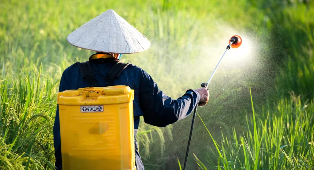 3x Capacity During Dengue